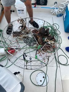 Crabbing In Nanaimo